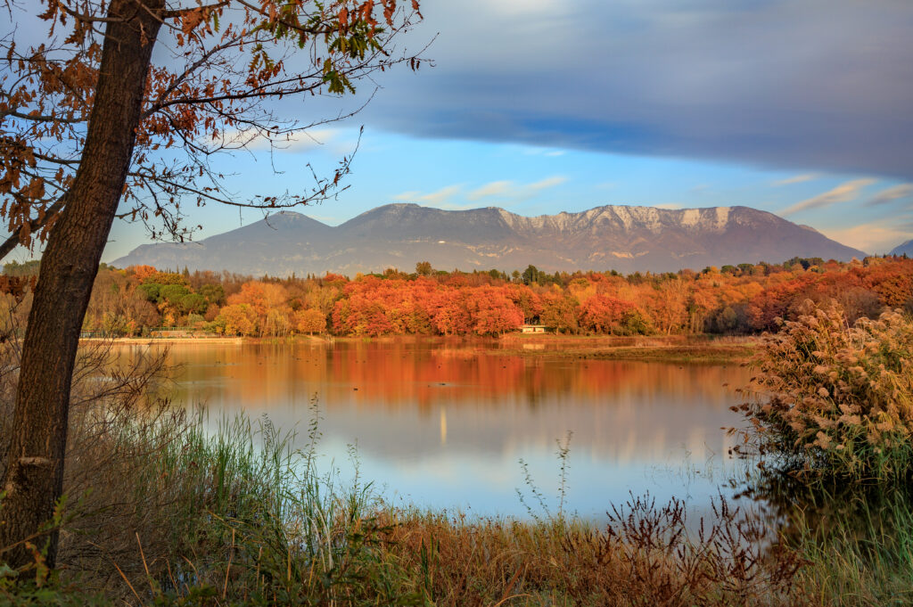 The Artificial Lake in Tirana’s Grand Park in autumn, with orange trees and Mount Dajti in the background